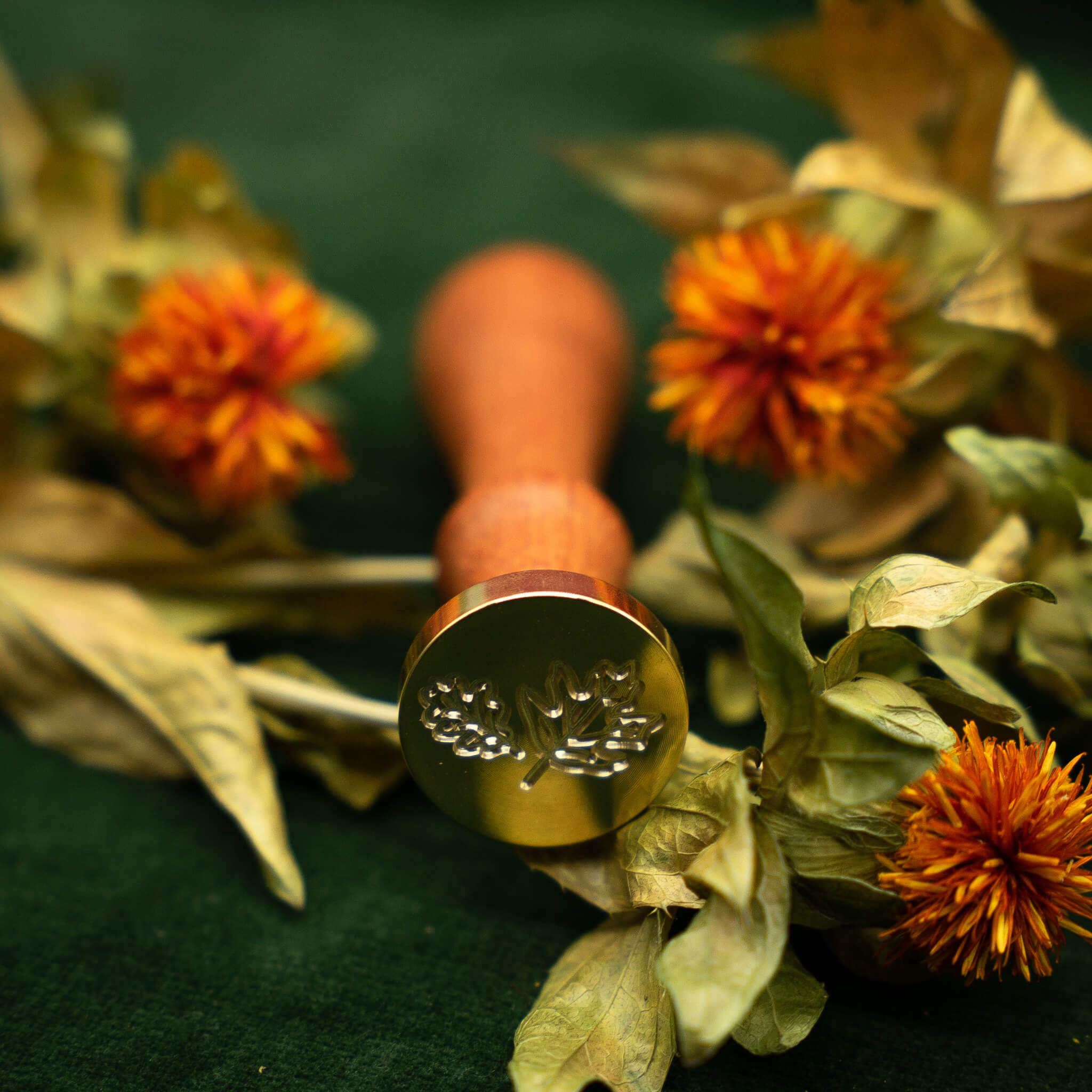 Blätter Siegel Herbst - Siegel Boutique Mestharm