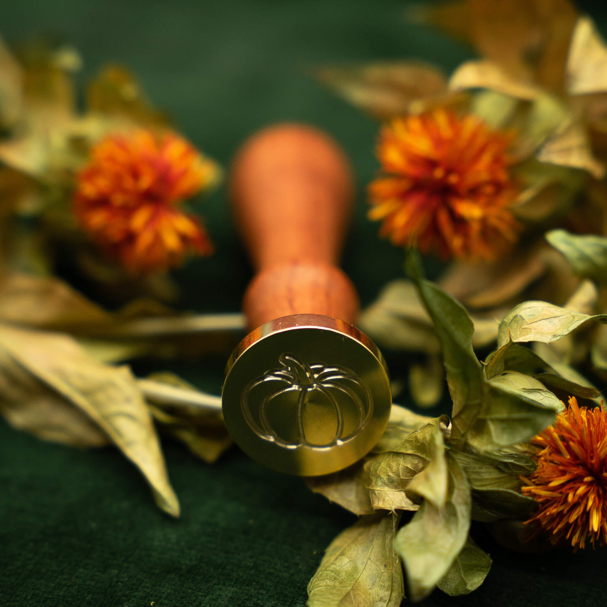 Kürbis Siegel Herbst - Siegel Boutique Mestharm