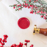 Sterne-weihnachten-siegelboutique-03